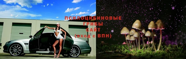 круглые Алзамай