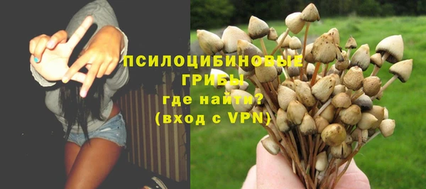 a pvp Алексеевка