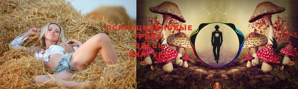круглые Алзамай
