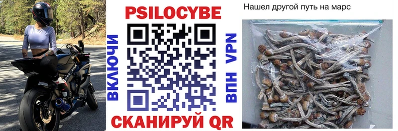 Псилоцибиновые грибы Cubensis  купить наркотик  Лянтор 